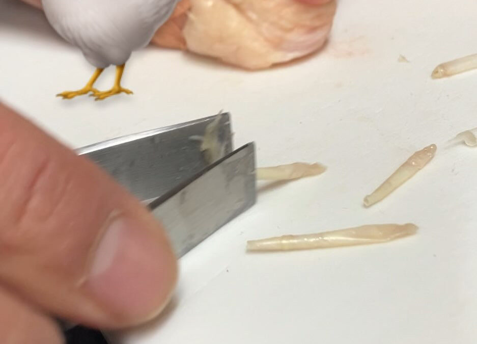 2156