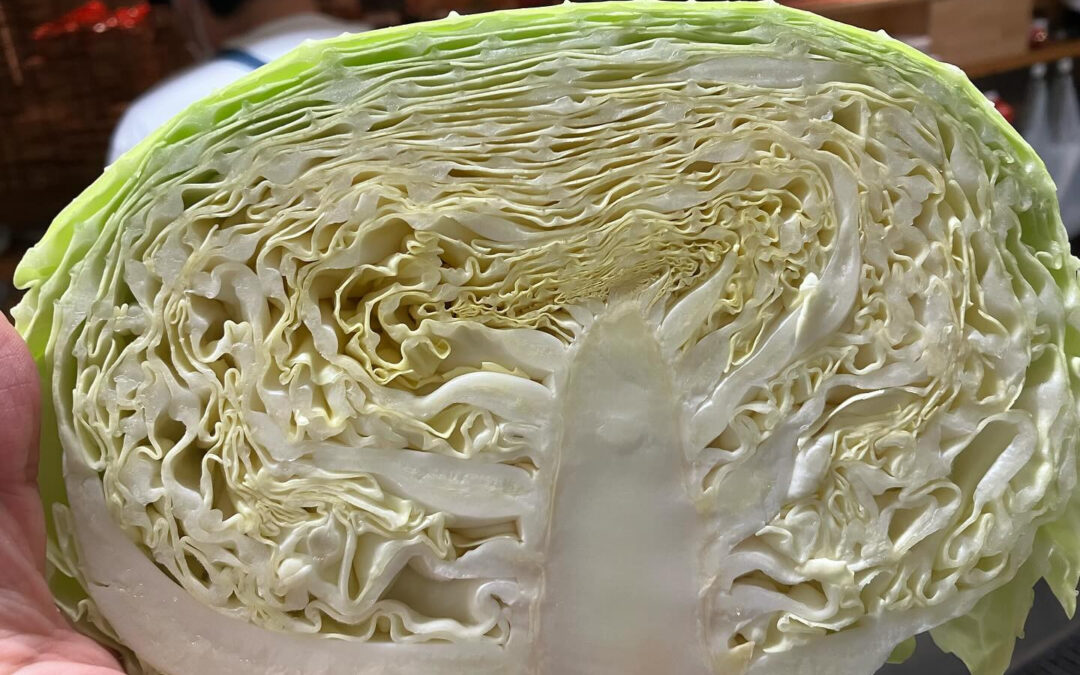 2144